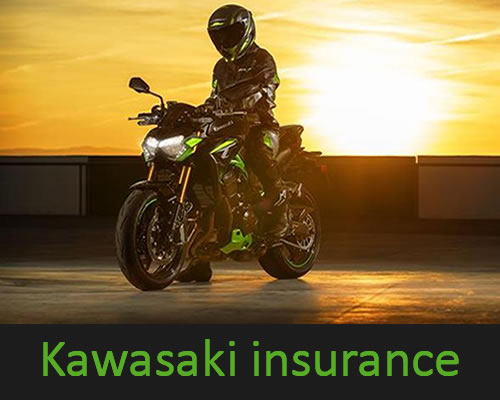 kawasaki offers